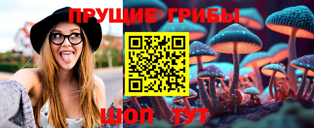 Галлюциногенные грибы MAGIC MUSHROOMS  Псилоцибиновые грибы ЛСД  Вход с VPN  Кубинка 