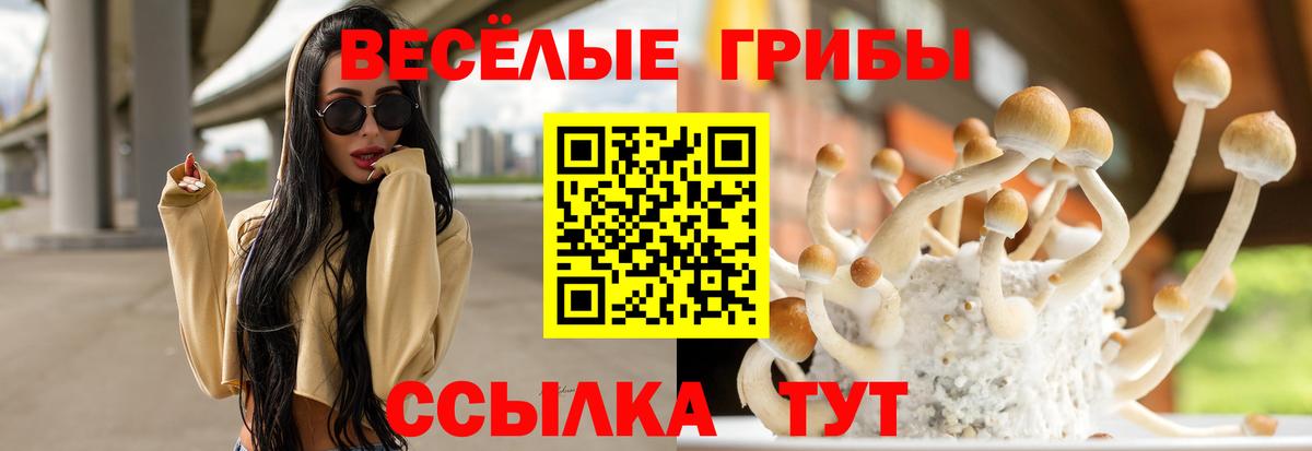 Галлюциногенные грибы GOLDEN TEACHER Кубинка